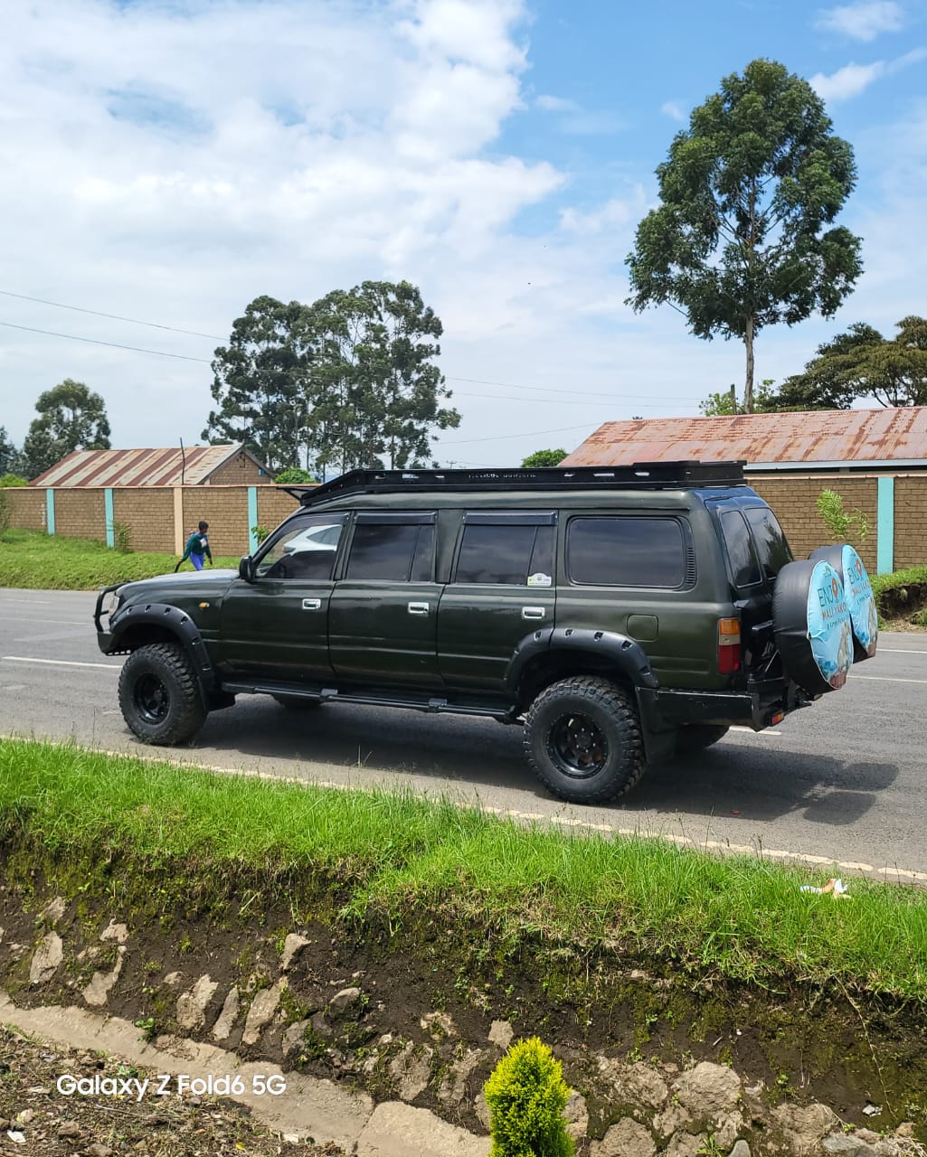 Safari wildlife